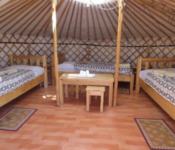 gobi-erdene-ger-camp